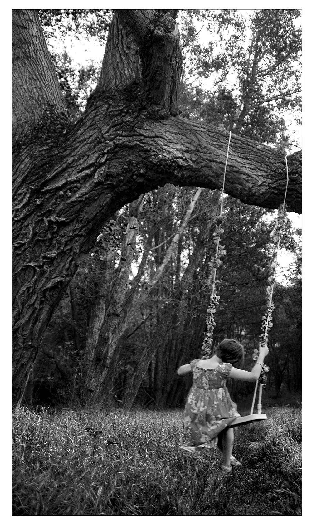 © Paula M Langa