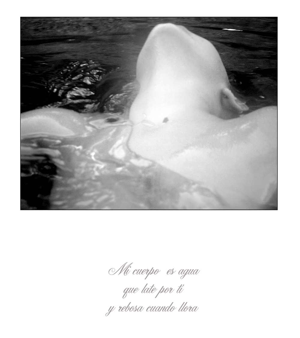 © Paula M Langa