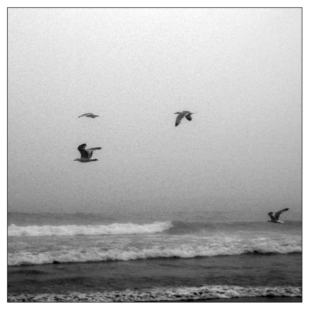 © Paula M Langa