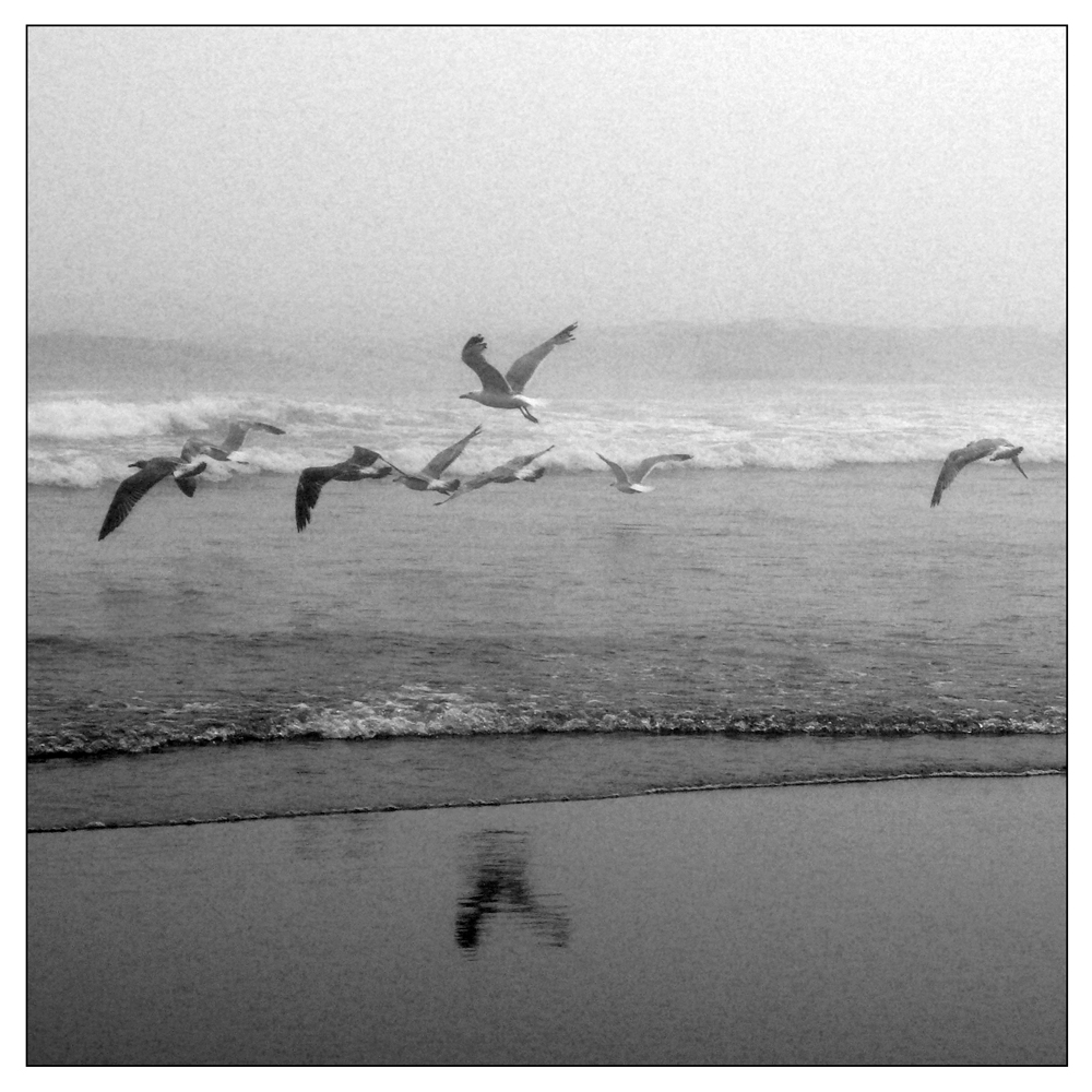 © Paula M Langa
